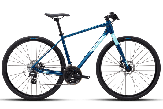 Polygon 2021 Path 2 Hybrid Trekking Bike
